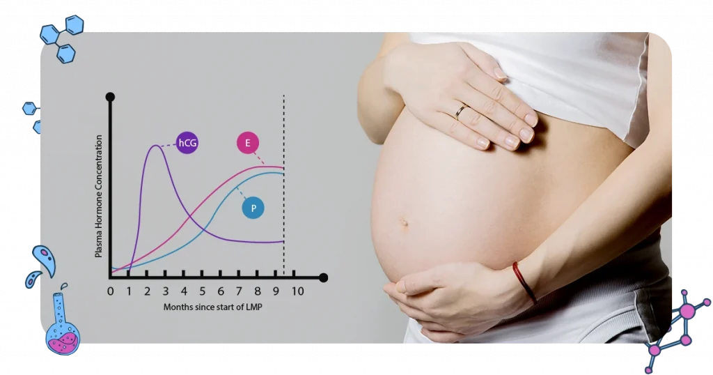 Urine color changes in pregnancy  caused by hormone changes