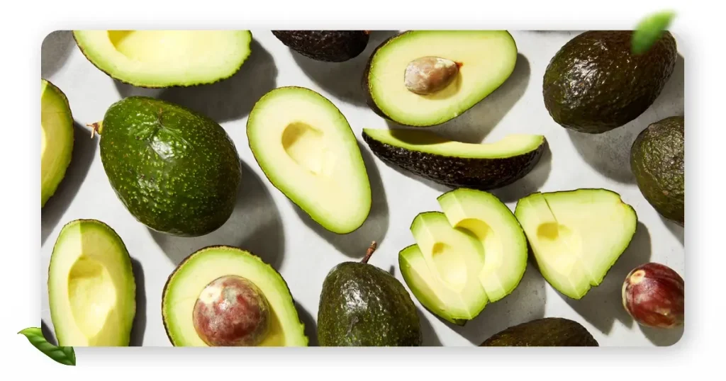 avocado fruits
